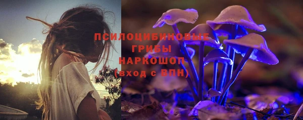 индика Беломорск