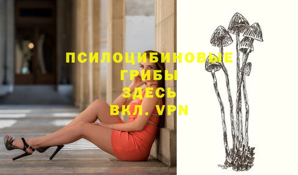индика Беломорск