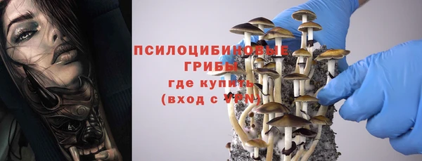 индика Беломорск