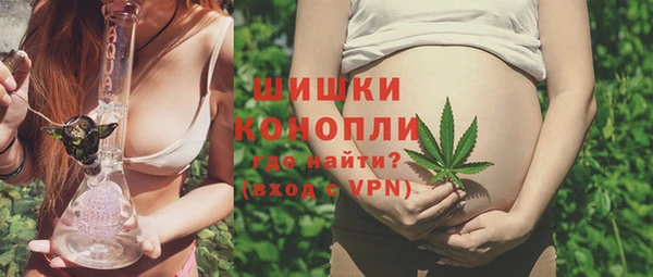 индика Беломорск