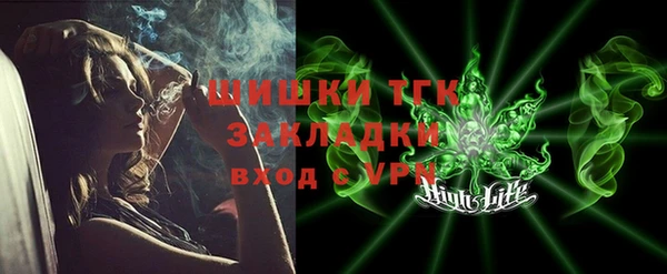 индика Беломорск